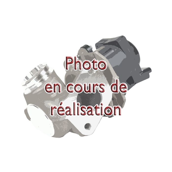 Vanne EGR Laguna 3 Megane 3 Scenic III Duster Qashqai 1.5 Dci 75-130 cv 70036814 Occasion