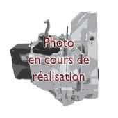 Boîte de vitesse Renault Kangoo 2 Essence 1.2 TCE 114-115 cv TL4-084 neuf